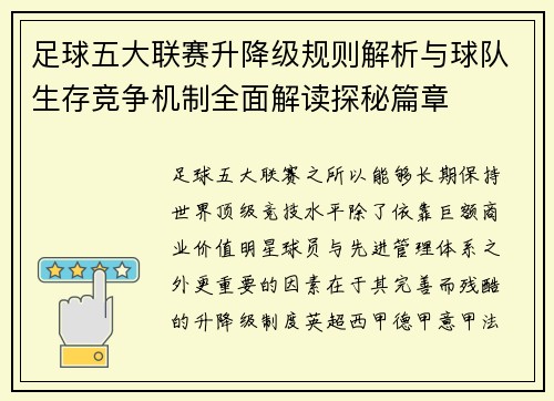 足球五大联赛升降级规则解析与球队生存竞争机制全面解读探秘篇章